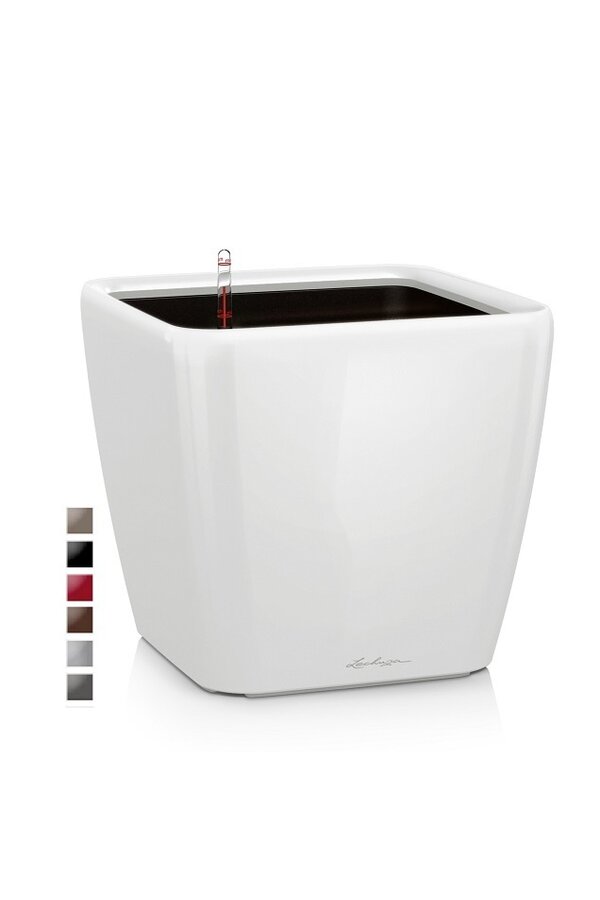 Quadro All Inclusive M