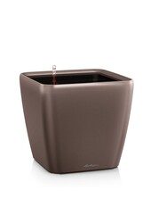 Quadro All Inclusive L