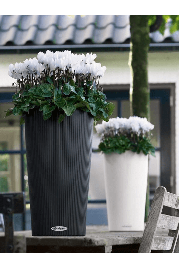 Cilindro All Inclusive S