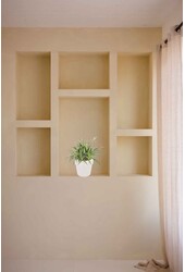 Roślina pająkowa Ocean w B. dla Soft