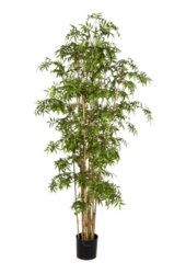 Sztuczna roślina Bambus w Tutch