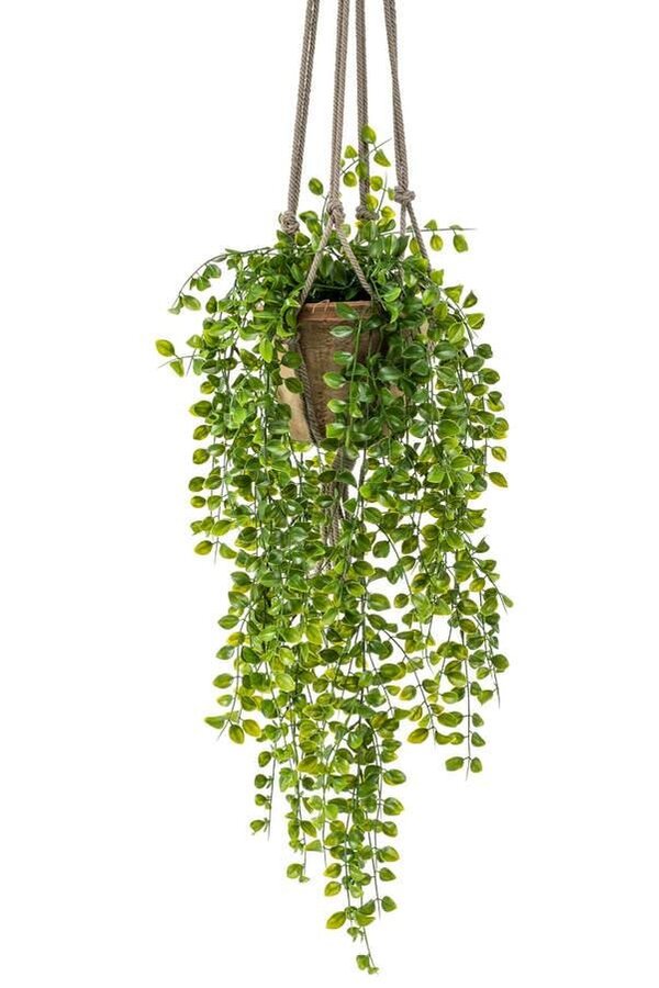 Ficus Pumila Wisząca sztuczna roślina