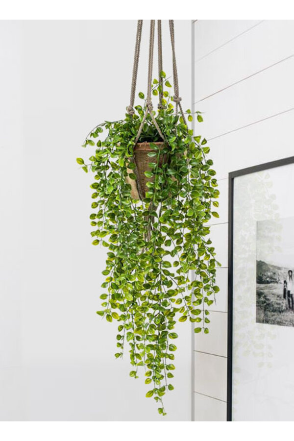 Sztuczna roślina wisząca Ficus Pumila