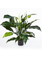 Sztuczna roślina łyżecznik