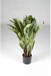 sztuczna roślina Calathea