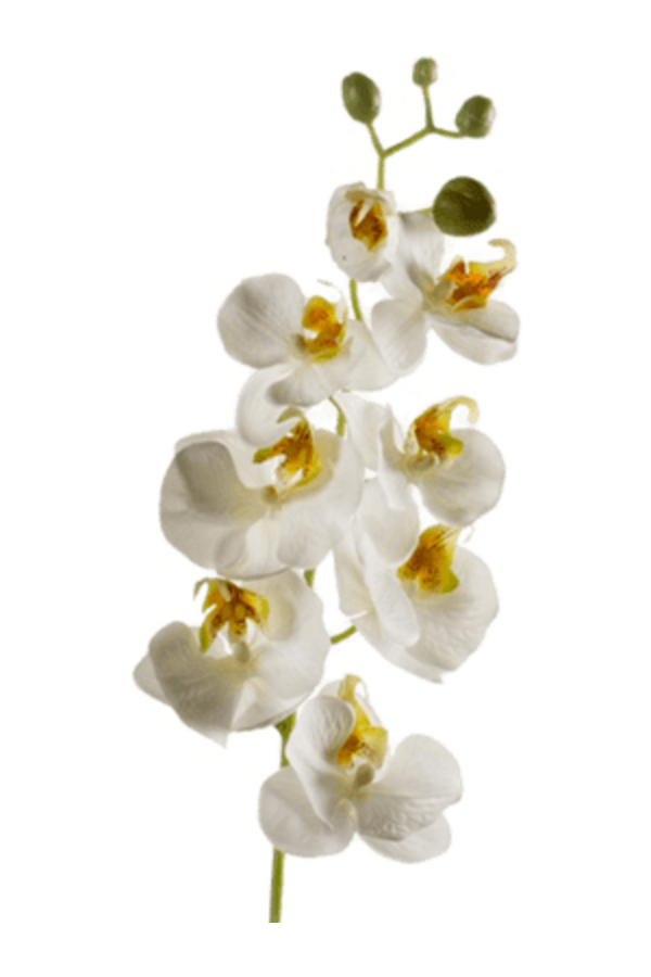 Sztuczny kwiat Phalaenopsis biały