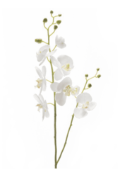 Phalaenopsis biała sztuczna gałązka L