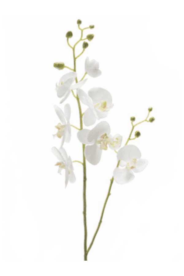 Phalaenopsis biała sztuczna gałąź L