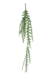 Sztuczna gałąź Epiphyllum