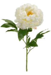 Biała sztuczna piwonia