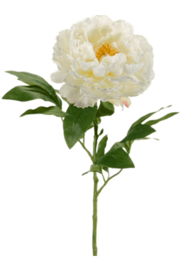 Sztuczny kwiat piwonii białej