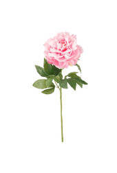 Różowy sztuczny kwiat piwonii