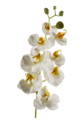 Biały sztuczny kwiat Phalaenopsis