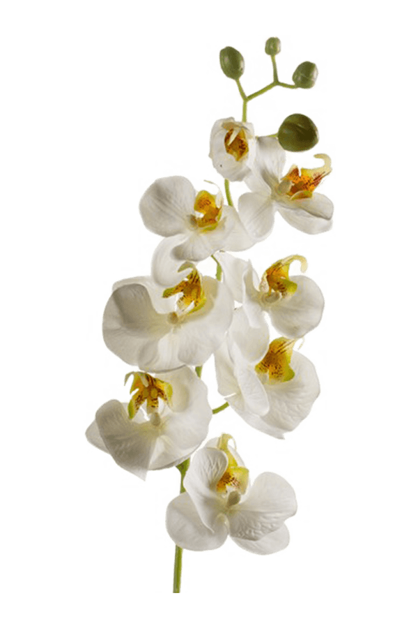 Sztuczny kwiat Phalaenopsis biały