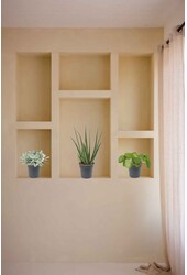 Pakiet roślin sukulentów