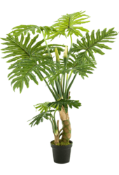Sztuczna roślina Philodendron L