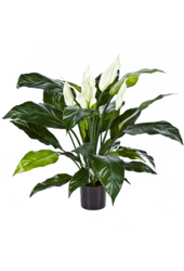 Sztuczna roślina Spathiphyllum