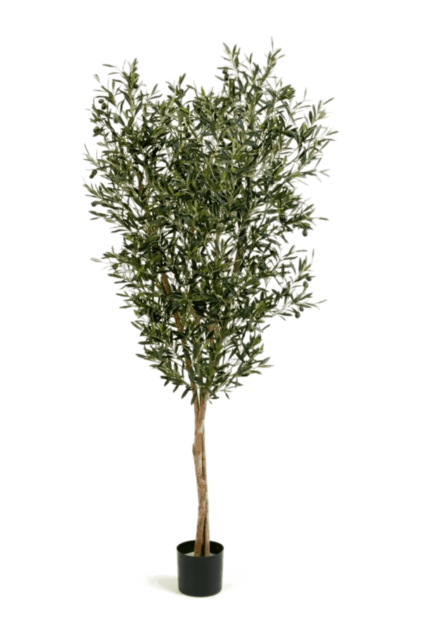 Sztuczna roślina Natural olive M