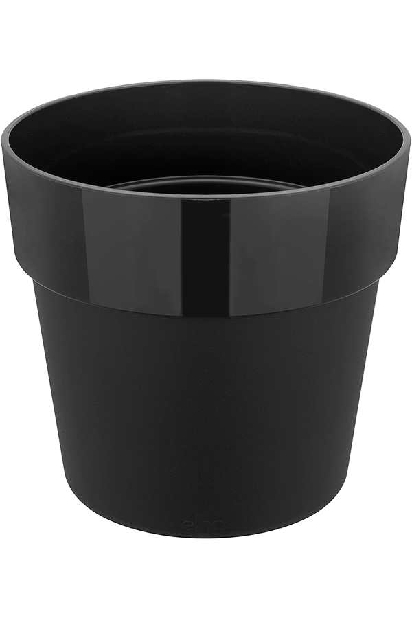 B. For Original Czarny