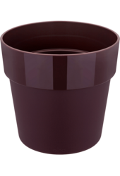 B. For Original Fioletowy