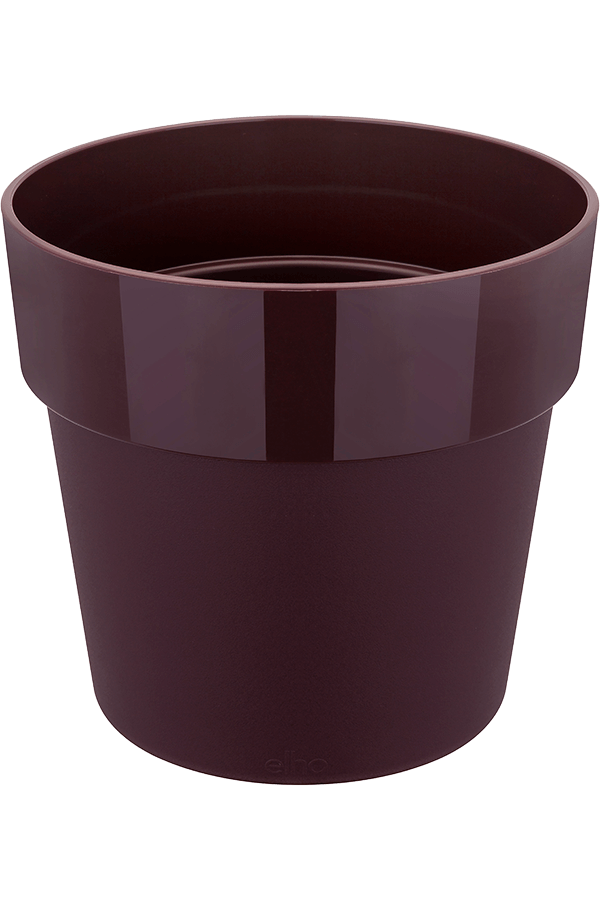 B. Dla oryginalnego fioletowego