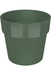 B. Dla Original Groen