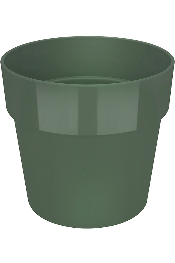 B. For Oryginalna Zieleń