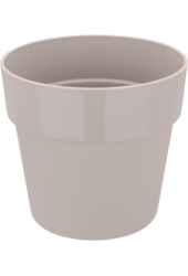 B. For Original Szary