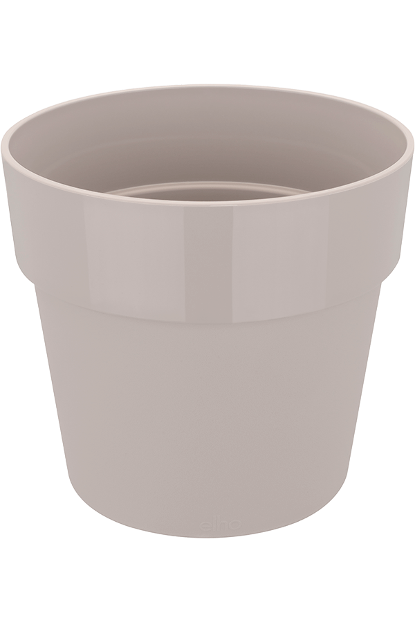 B. For Original Szary