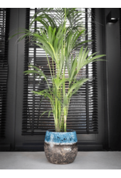 Doniczka Lindy Green Black