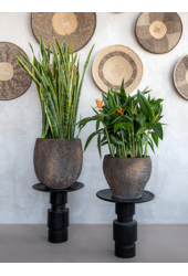 Doniczka Oester Taps Brązowa