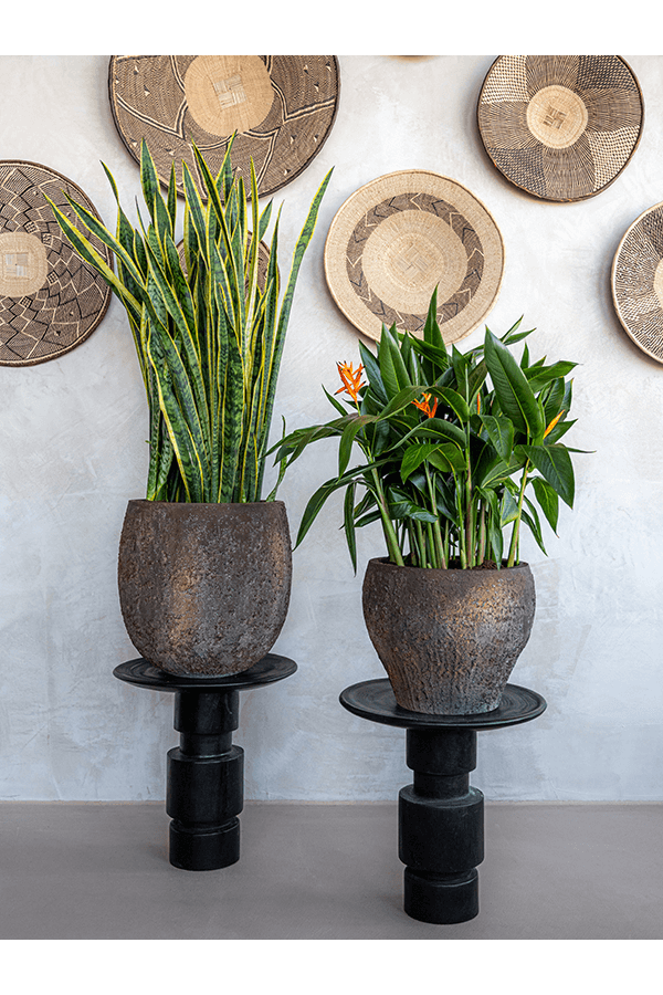 Doniczka Oester Taps Brązowa