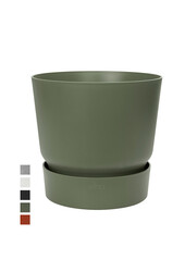 Greenville wokół zielonego S