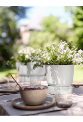 Greenville wokół zielonego S