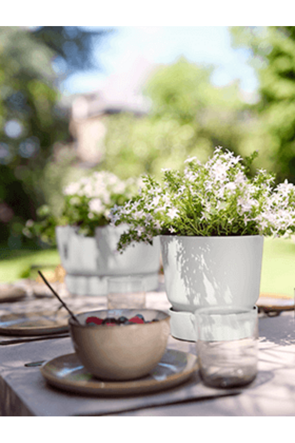 Greenville wokół zielonego S