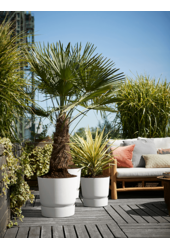 Greenville okrągły czarny S