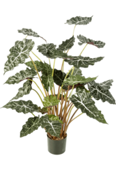 Sztuczna roślina Alocasia