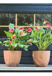 Doniczka Bola antracytowa Ø 33 cm