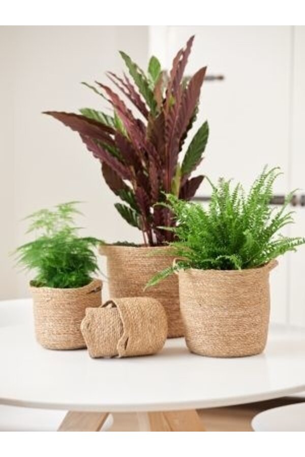 Doniczka Nelis naturalna