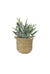 Doniczka Nelis naturalna