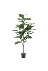 Sztuczna roślina Ficus Lyrata M