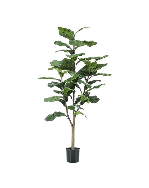 Sztuczna roślina Ficus