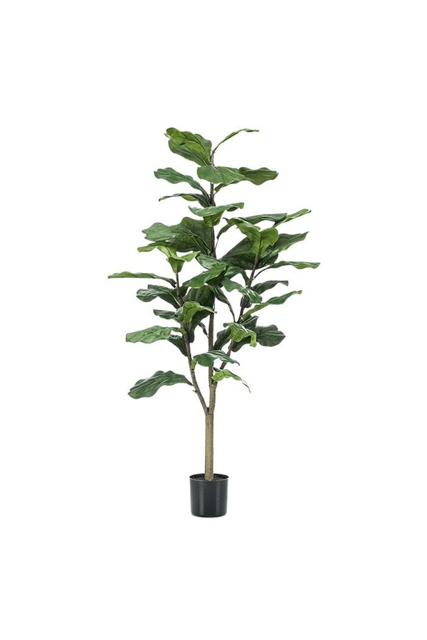 Sztuczna roślina Ficus Lyrata M