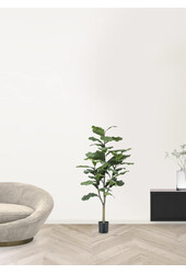 Sztuczna roślina Ficus Lyrata M