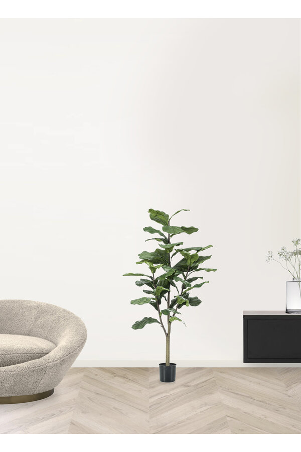 Sztuczna roślina Ficus Lyrata M