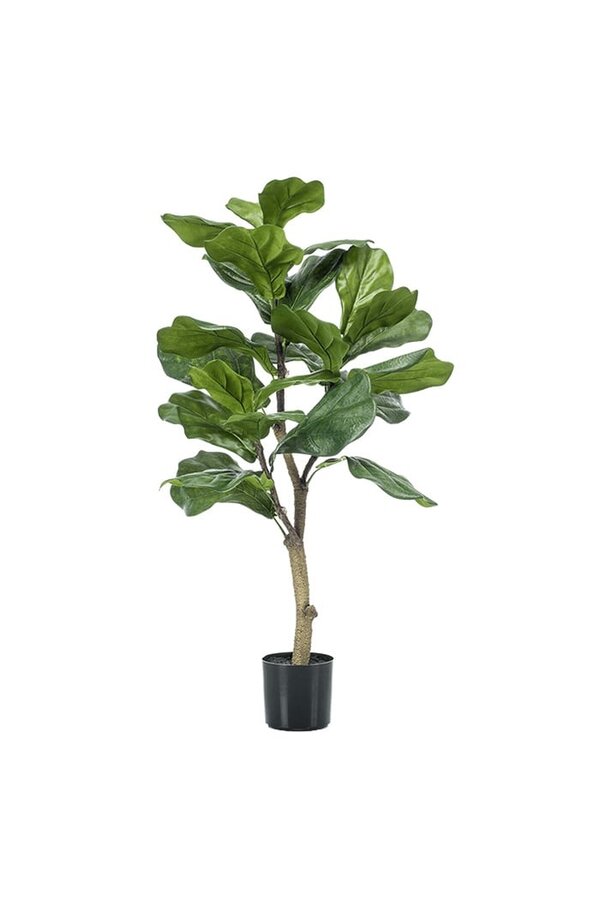 Sztuczna roślina Ficus Lyrata S