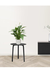 Łyżecznik w Vibes Fold