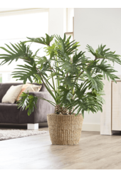 Doniczka z trawy morskiej L