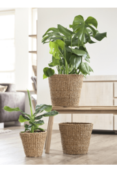 Doniczka na trawę morską XL