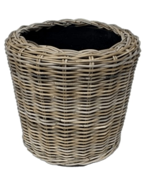 Rattan